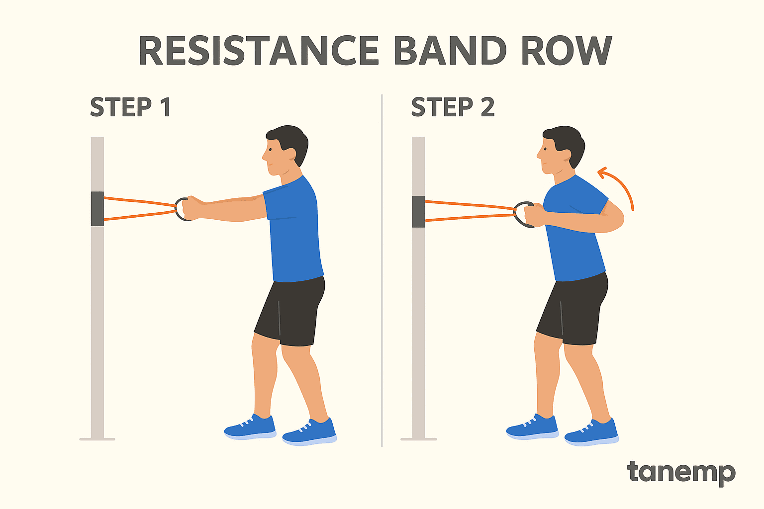 resistance band row Erector Spinae Exercises 