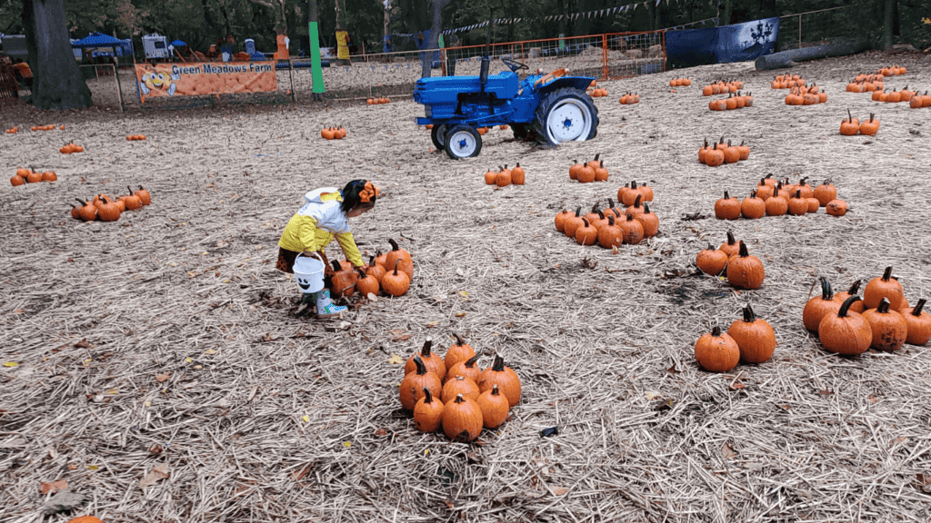 Fun Active Outdoor Activities for Preschoolers